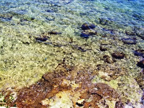 the mediterranean