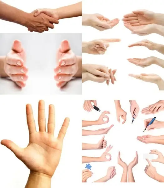 the palm of your hand and gestures highdefinition picture