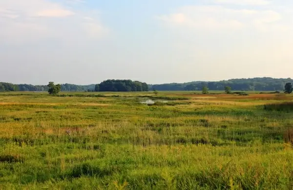 Scenic lakeshore at horseshoe lake state park illinois Photos in .jpg ...