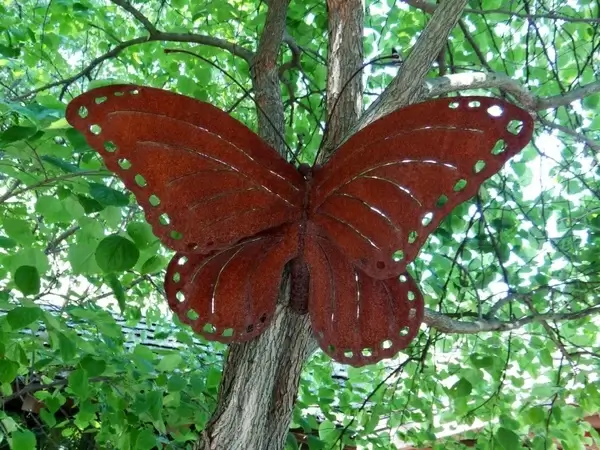 the rusty butterfly