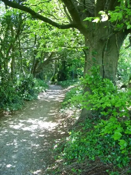 the secret pathway