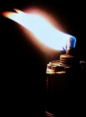 the torch