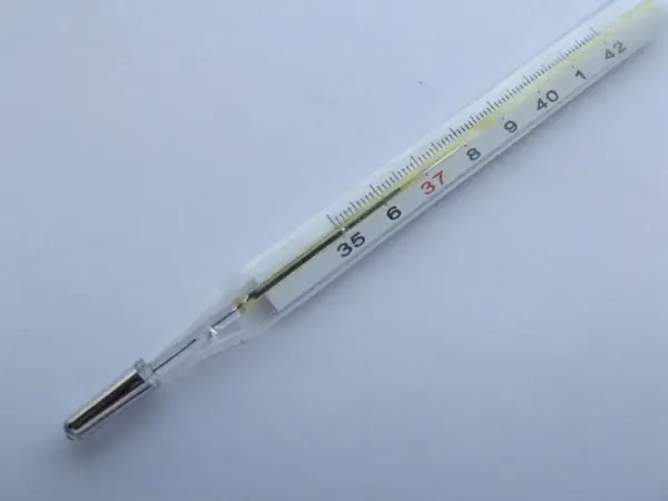 thermometer temperature instrument