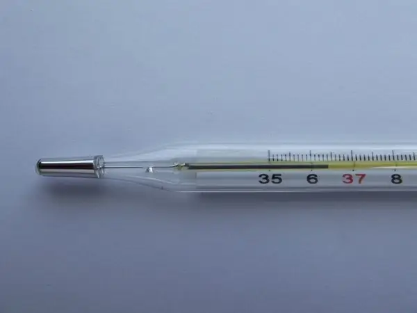 thermometer temperature instrument