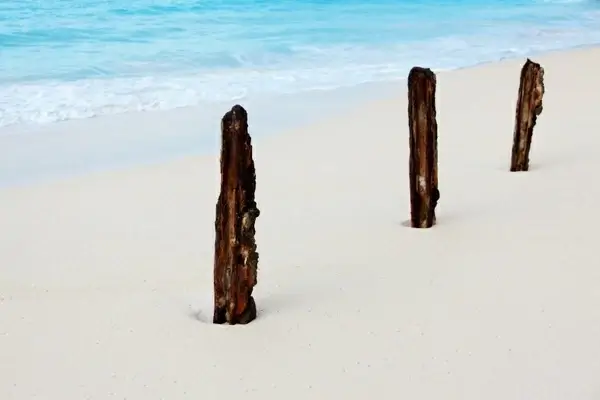 three sticks on the beach