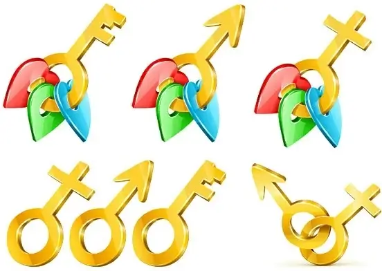 threedimensional male and female golden key symbol vector