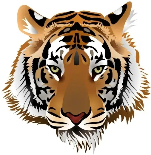 tiger image 03 vector