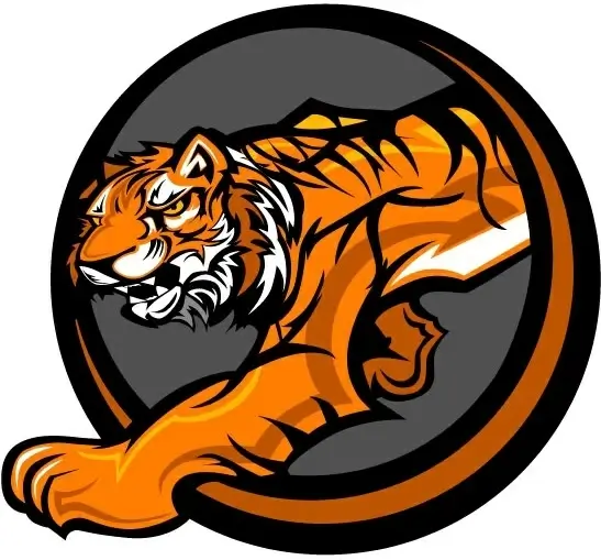 tiger image 22 vector