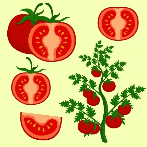 tomato design elements red green decor