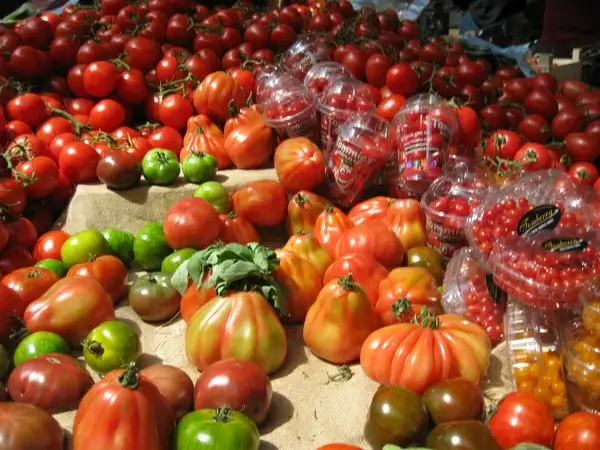 tomatoes
