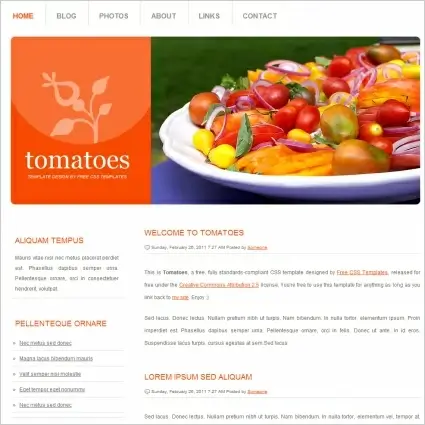tomatoes