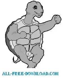Tortoise 3
