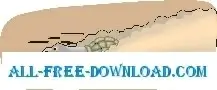 Tortoise Fast
