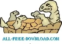 Tortoise On Back 2