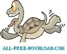 Tortoise Playful