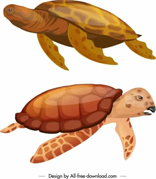 tortoise species icons shiny red sketch swimming gesture