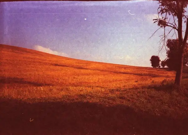 toy camera