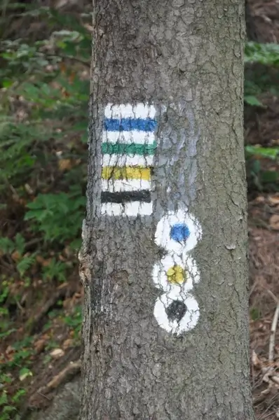 trail
