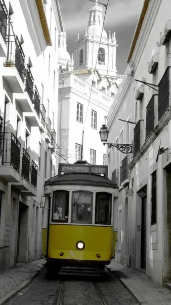 tram transport means of transport