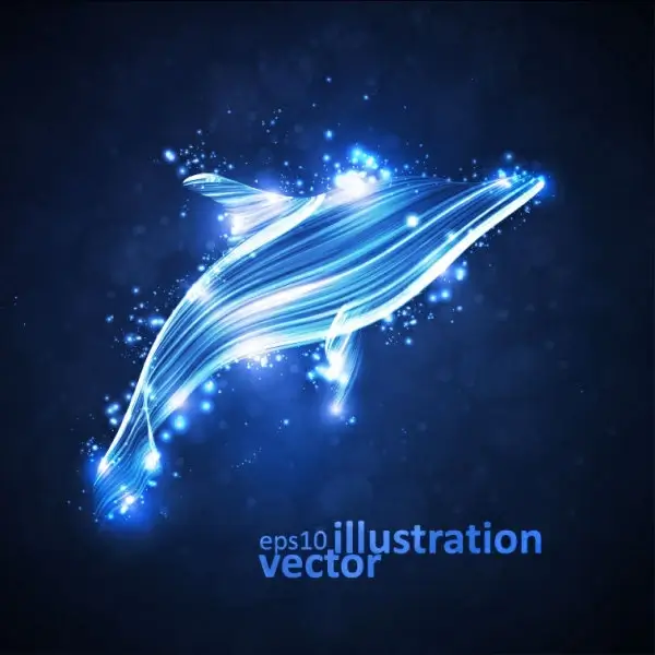 transparent dolphin vector illustration