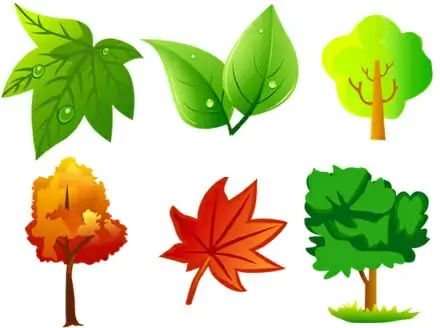 tree leaf graphics