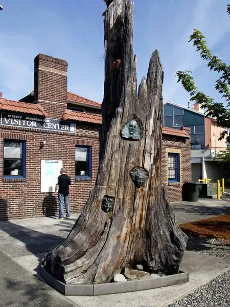 tree stump art 