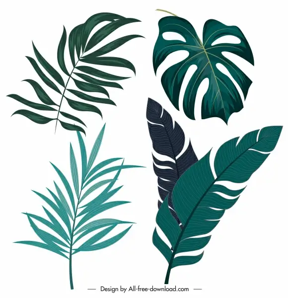 tropical leaf icons classic handdrawn outline
