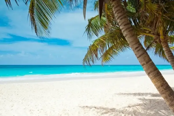 tropical paradise