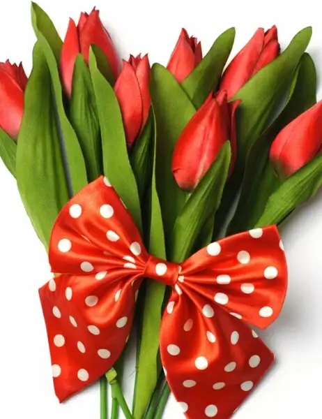 tulip flowers highdefinition picture 03