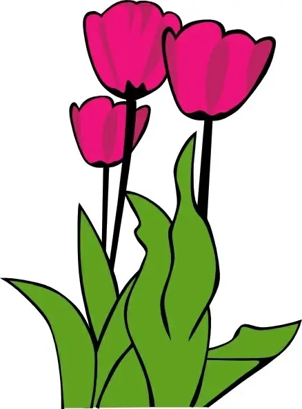 Tulips In Bloom clip art