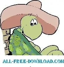 Turtle in Sombrero