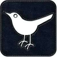 Twitter bird2 square