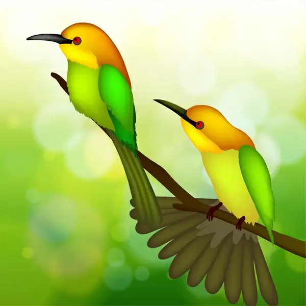 two bird on tree branch