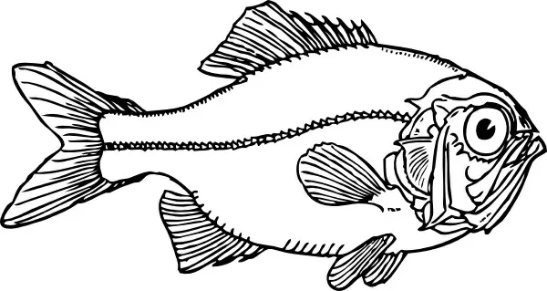 Ugly Fish clip art