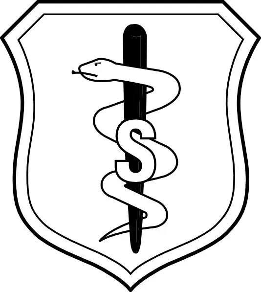 United States Air Force Biomedical Sciences Corps Badge clip art