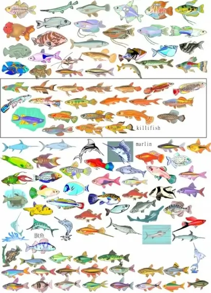 fishes icons collection various colorful types