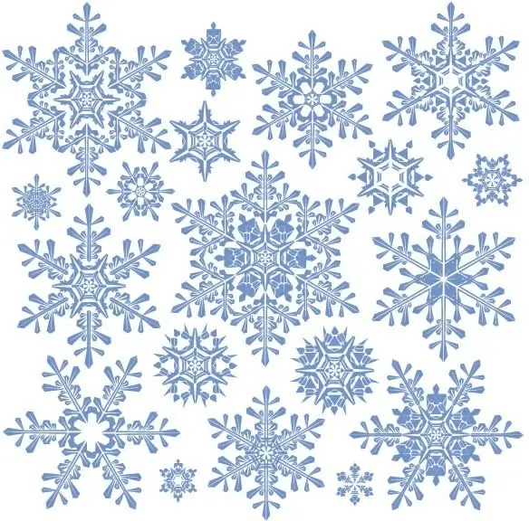 variety of snowflakes vector 2