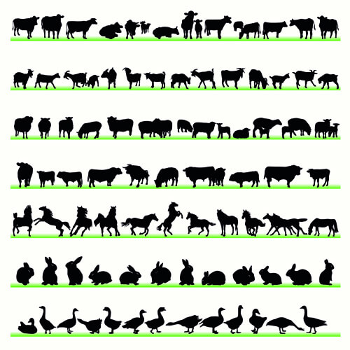 various animals silhouettes design vector set