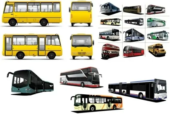 various bus bus vector