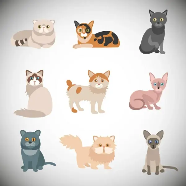 various cats vector illustrations with color style