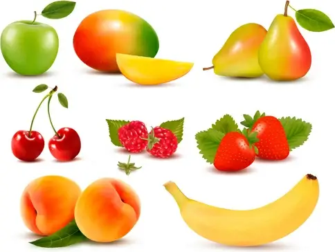 various fresh fruits design vector