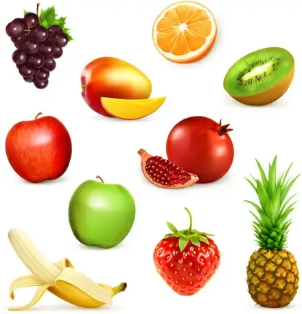 various fresh fruits vector illustration