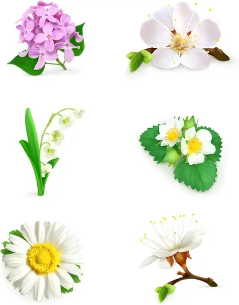 vector beautiful flowers design set