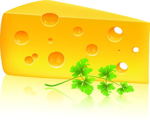 vector cheese design elements
