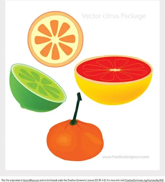 vector citrus package