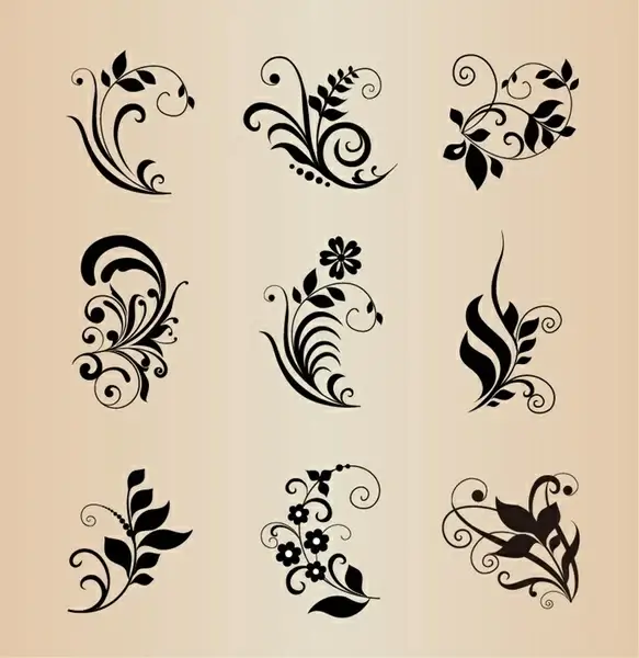 vector collection of floral elements for design