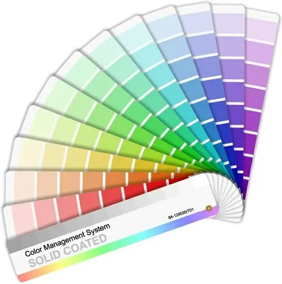 vector color card paper