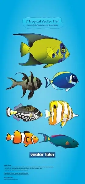 marine fishes background colorful flat handdrawn