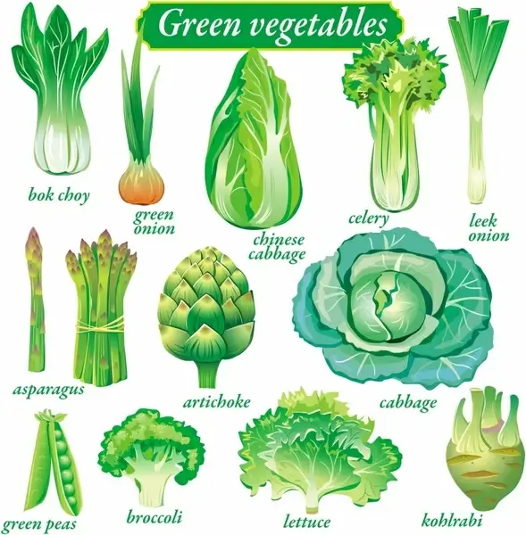 nutritious vegetables banner green icons sketch