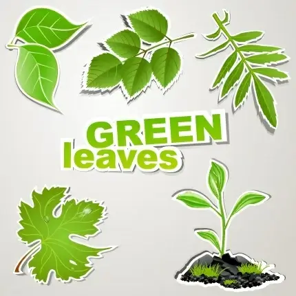 ecological leaves icons modern flat green sketch
